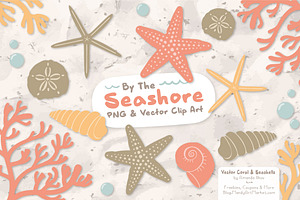 Antique Peach Vector Seashells, an Illustration by Amanda Ilkov