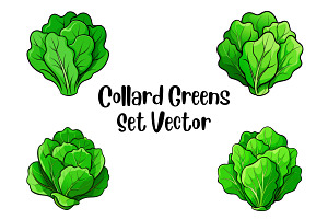 Collard Greens Set Vector, a Food Illustration by Awieee1