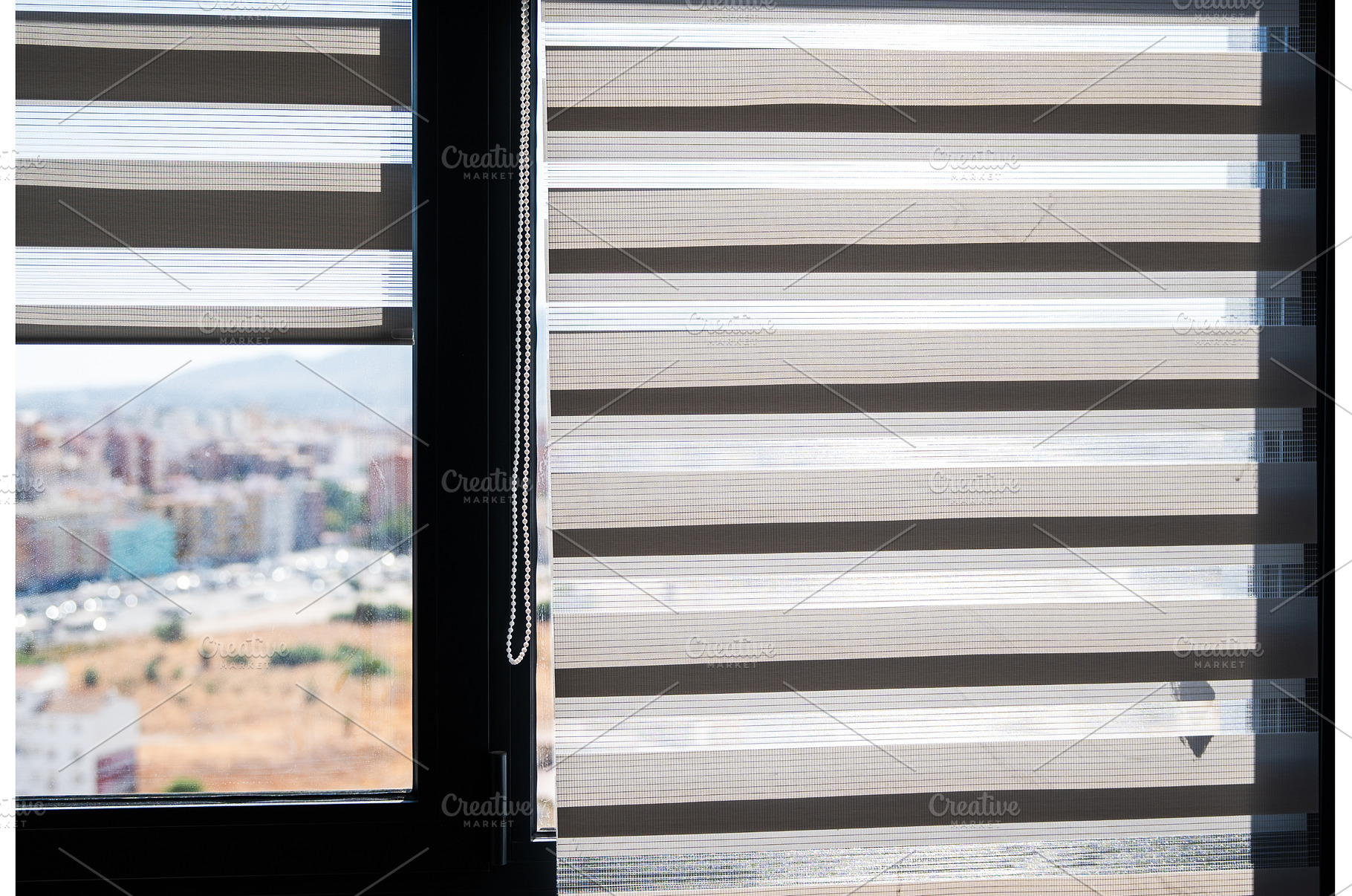 Vertical Window Frame With Zebra, an Architecture Photo by volodymyrshtun13795