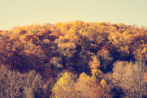 Autumn Mountain Landscape