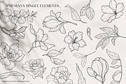 Floral Garden - Floral Line Art, an Illustration by IllustratorAnnie (Thumbnail 8 of 10)