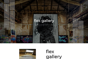 FLEX GALLERY