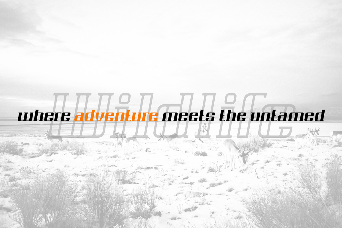Rigaster Font, a Serif Font by IWMType (Photo 3 of 6)