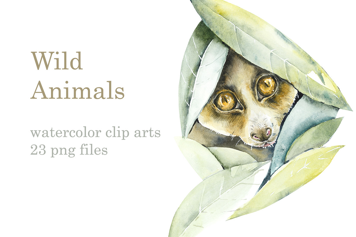 Watercolor Wild Animals, an Animal Illustration by Budogoshch (Photo 1 of 5)