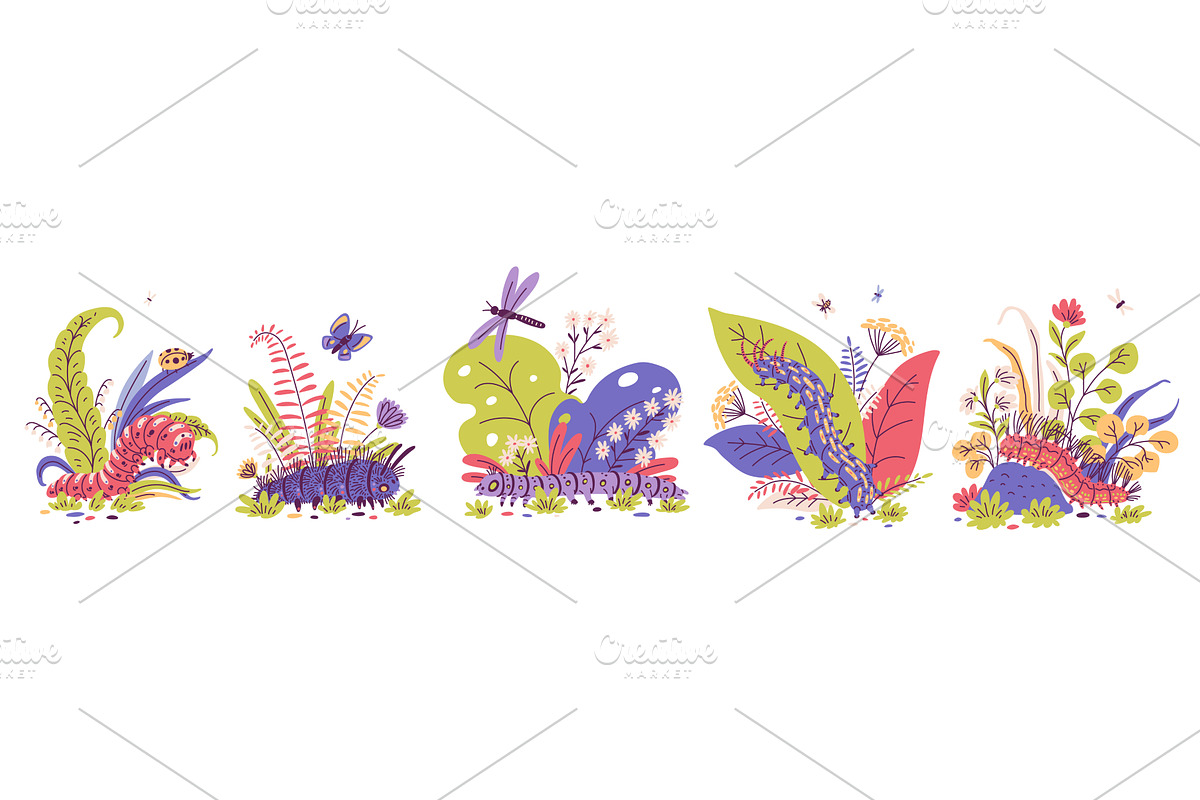 Cartoon caterpillars on floral, an Animal Illustration by Sabelskaya
