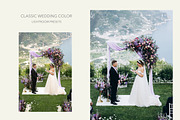 Sale!! Classsic Wedding Lr Presets, an Action Add-On by PRESETS & PICS BY MELNYK (Thumbnail 2 of 9)