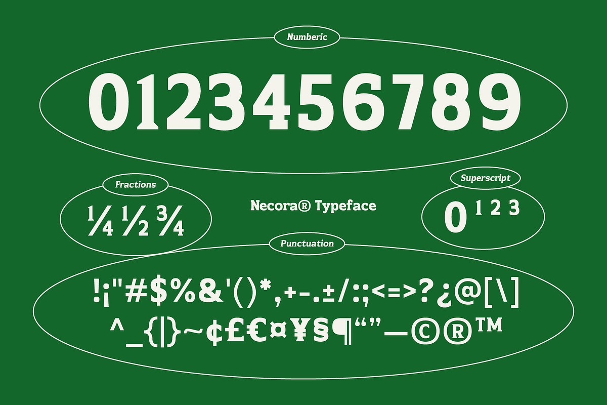 Necora – Multiple Axes Classic Font, a Serif Font by Drizy (Photo 5 of 10)