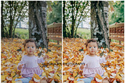 15 FALL LIGHTROOM PRESET OCTOBER, a Preset Add-On by Victoria Bee Presets (Thumbnail 10 of 11)