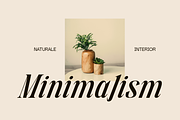 Folden - Serif Display Font, a Serif Font by Marvadesign (Thumbnail 7 of 11)