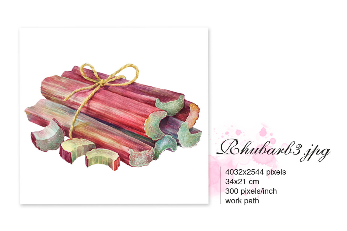 RHUBARB. Set of 4 watercolors., a Graphic by Marina.Markizova (Photo 3 of 5)
