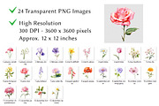 Birth Month Flowers Clipart, a Decorative Illustration by milkghost (Thumbnail 2 of 2)