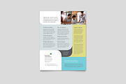 Business Consultant Datasheet, a Flyer Template by StockLayouts (Thumbnail 3 of 5)