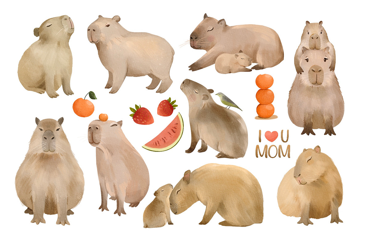 Capybara Clipart PNG, Rodent Species, an Animal Illustration by ArtGiftsStudio (Photo 2 of 4)