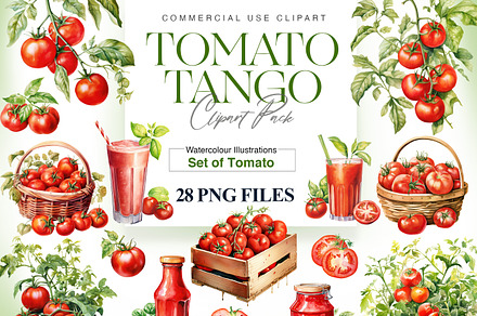 Watercolor Tomato Clipart, Vegetable, a Food Illustration by BrushstrokeArtGB