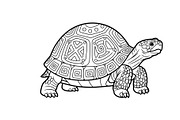 Turtle Line Art Illustration Bundle, an Illustration by Creativeshirt (Thumbnail 5 of 48)
