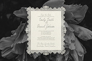 Lace & Grace Vol 2. Hand-Drawn Lace, an Object Graphic by AnMark (Thumbnail 13 of 17)