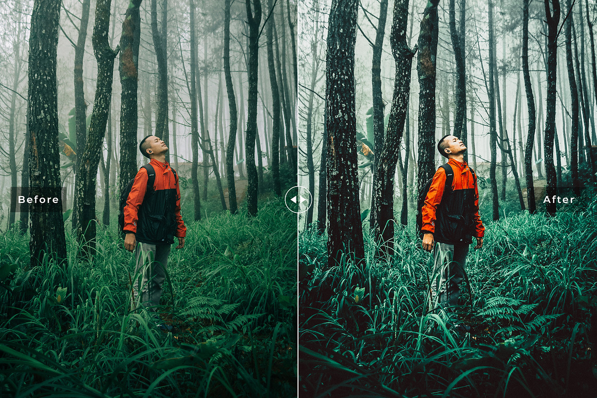 Wandered Lightroom Presets Pack preview 6