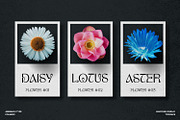 Maryone Font, a Serif Font by Asenbayu (Thumbnail 4 of 15)