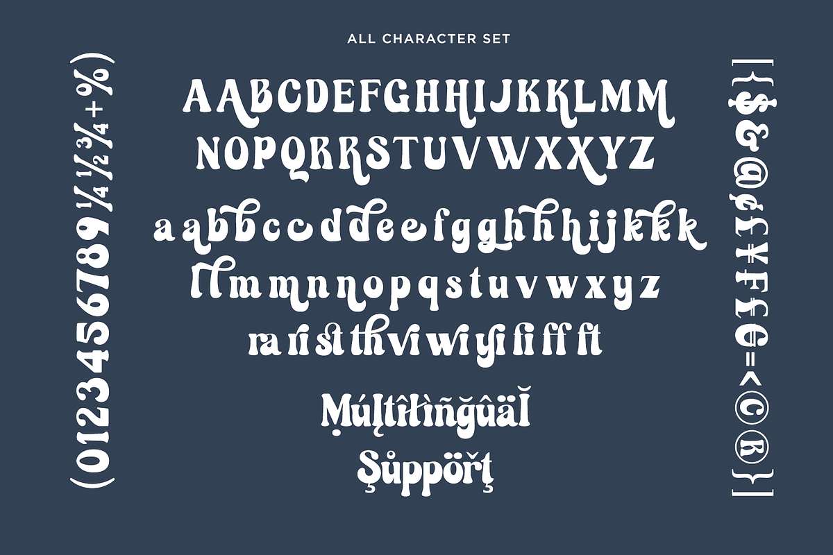 Authories, a Serif Font by Absonstype (Photo 11 of 11)