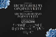 Camaroon Megalord Serif Display Font, a Serif Font by Storytype Studio (Thumbnail 13 of 15)