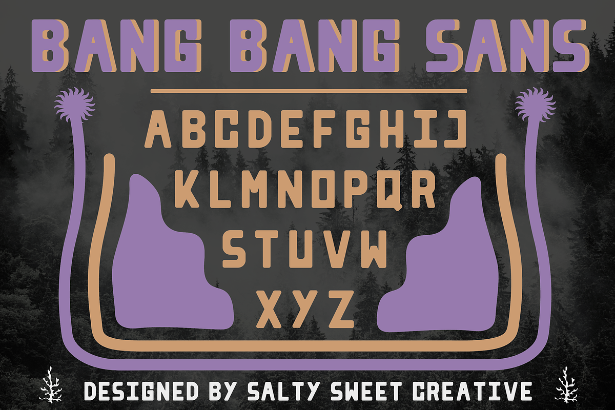 BANG BANG SANS - A Bold Display Font, a Sans Serif Font by Salty Sweet Creative (Photo 2 of 4)