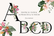 TROPICAL SUMMER- Exotic flora set, a Decorative Illustration by Grace Noboa Illustrations (Thumbnail 10 of 10)