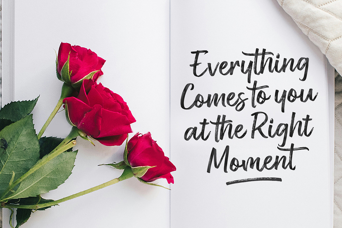 Rose Spe, a Script Font by Stripes Studio (Photo 2 of 9)