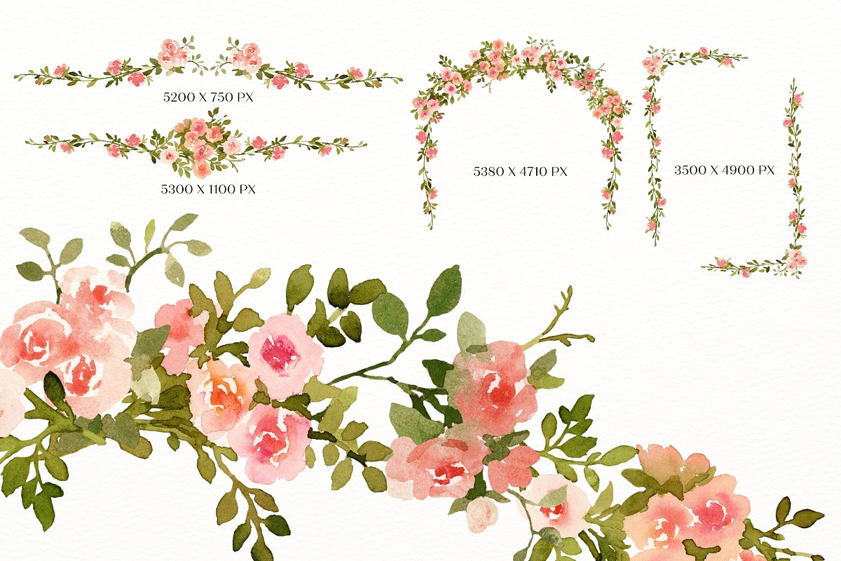 Vintage roses, a Decorative Illustration by AnnelyBlooms (Photo 5 of 7)
