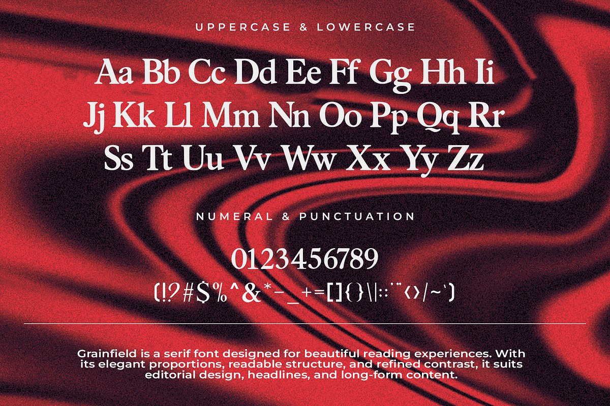 Grainfield – Modern Serif Font, a Serif Font by overlaytemplates (Photo 4 of 5)