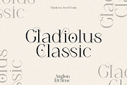 Aiglon Drame - Modern Ligature Serif, a Serif Font by erlosDESIGN (Thumbnail 7 of 13)