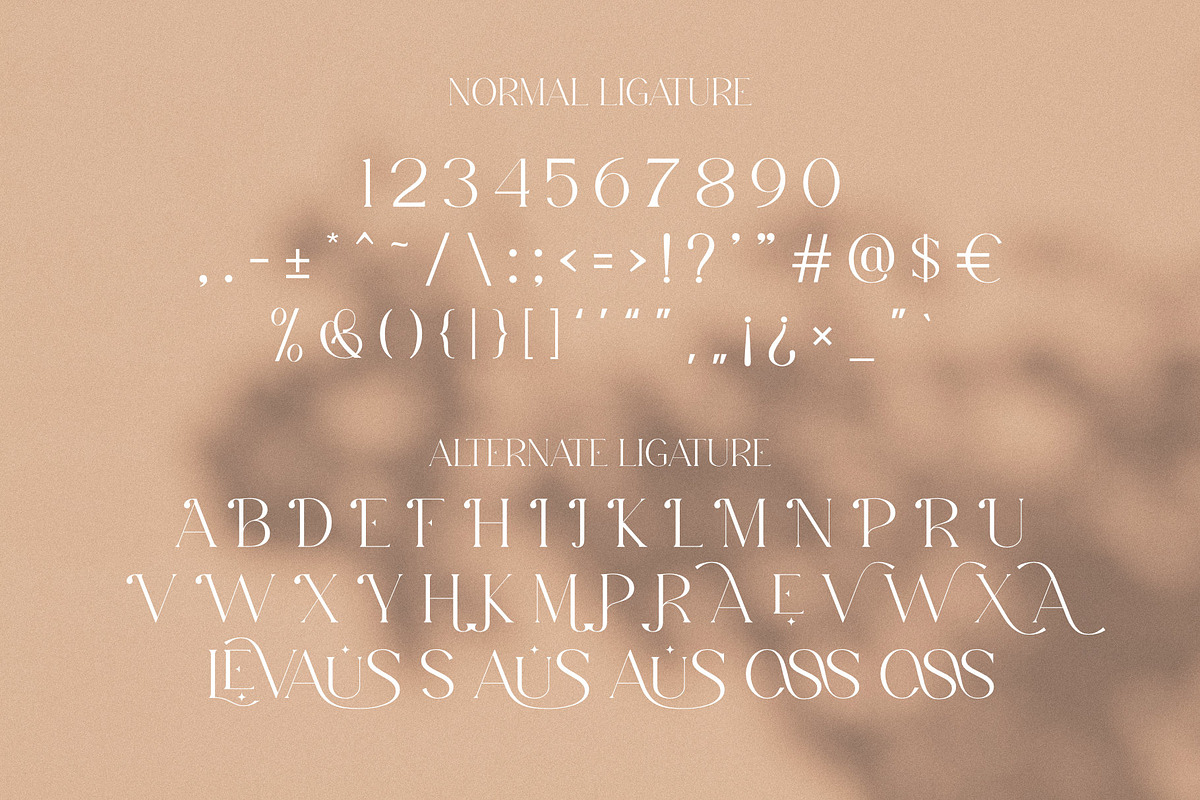 Levaus - Ligature Typeface, a Serif Font by Graphicxell (Photo 15 of 17)