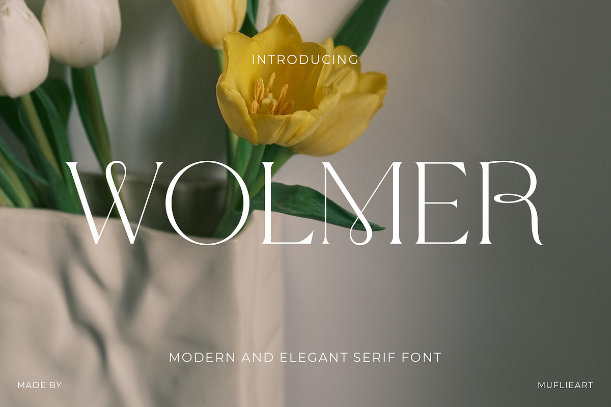 Wolmer - Modern And Elegant Serif, a Serif Font by Muflieart (Photo 1 of 10)
