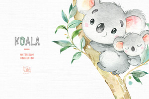 Koala. Watercolor Collection