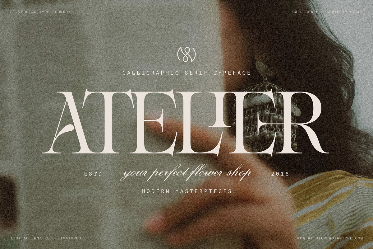 Netsera Calligraphic Serif Typeface, a Serif Font by SilverStag Type Foundry (Photo 10 of 30)