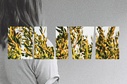 HERBI | A Chunky Sans Serif Font, a Sans Serif Font by Loryn Ipsum (Thumbnail 7 of 11)