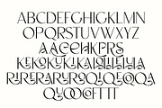 CARNIVAL Elegant Serif Font, a Serif Font by Anna Zakharchenko (Thumbnail 11 of 14)