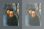 Kasane - Japanese Paper Overlays, a Texture Graphic by alonahaidash (Thumbnail 15 of 22)