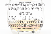 Whiskey | Script Font, a Handwritten Font by Scratchones (Thumbnail 7 of 9)