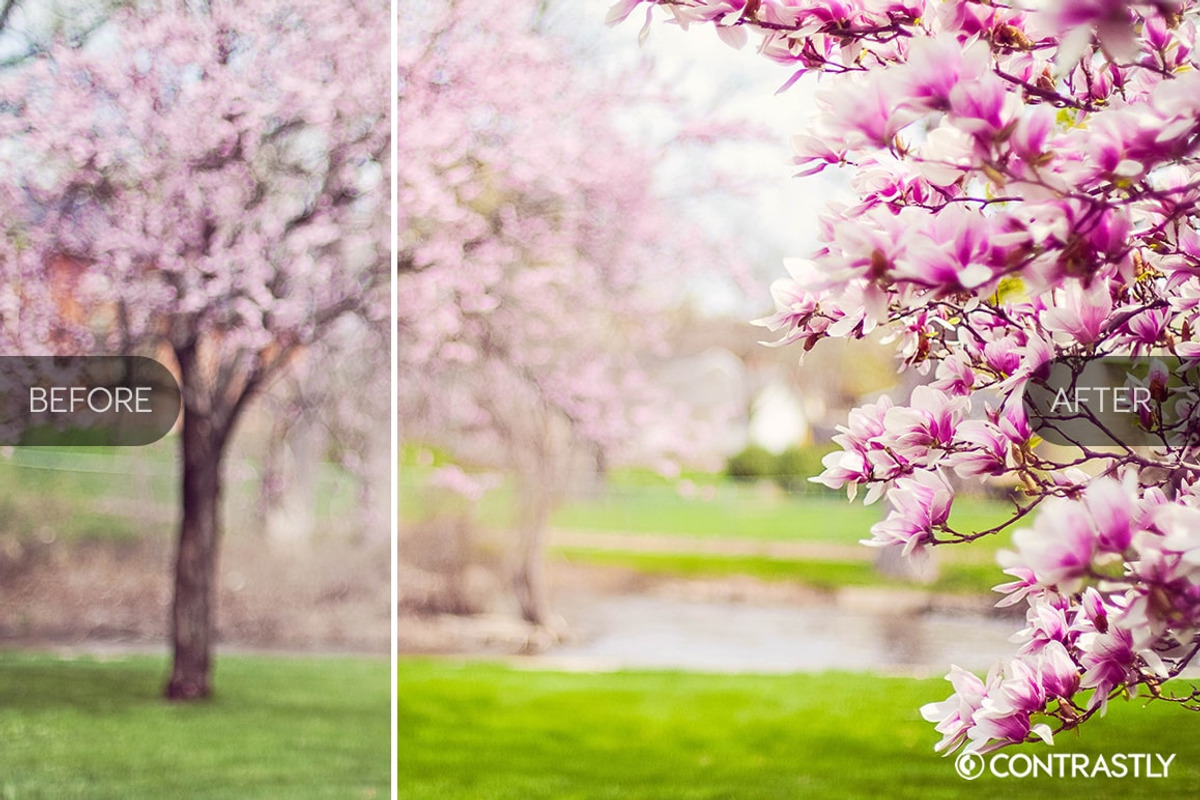 Spring Breeze Lightroom Presets, an Action Add-On by Contrastly Shop (Photo 3 of 4)
