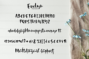Evelyn, a Script Font by Larin Type Co. (Thumbnail 8 of 9)