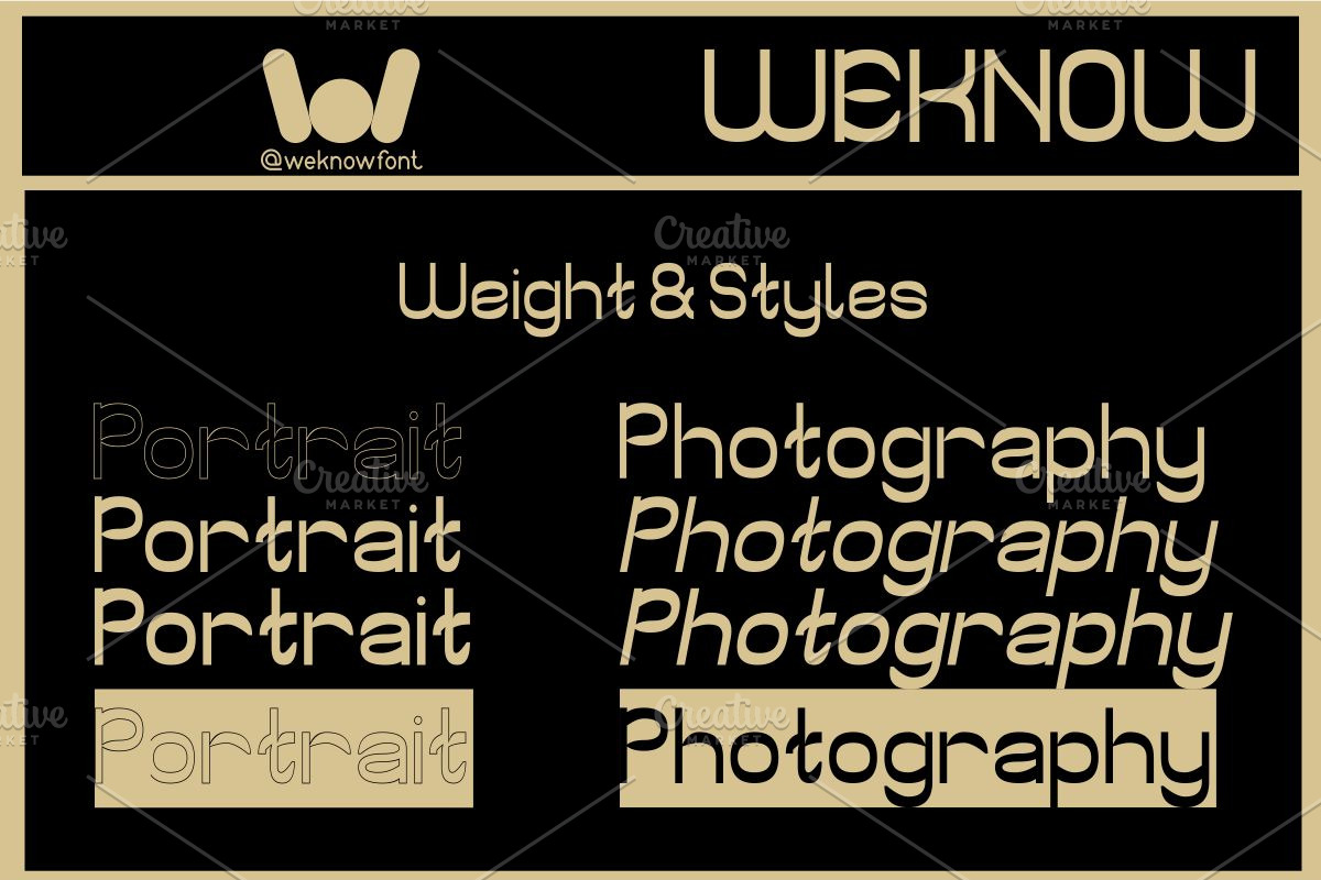 Portrait Photography font, a Sans Serif Font by weknow (Photo 7 of 8)