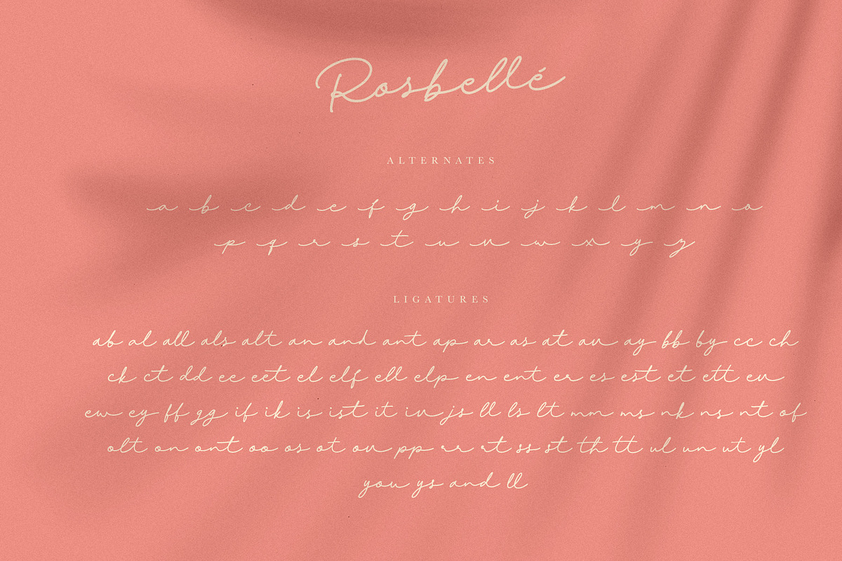 Rosbellé, a Script Font by ARSAVISUAL (Photo 12 of 13)