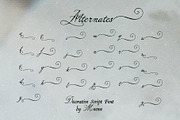 North Elm - Decorative Script Font, a Script Font by Mneme (Thumbnail 5 of 8)