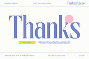 Ragitan Bold Tall Serif Display, a Serif Font by timelesstype.co (Thumbnail 20 of 20)