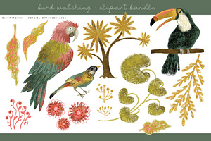 TROPICAL BIRDS CLIPART BUNDLE DH