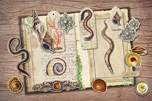 Sea Witch Scrapbook Kit