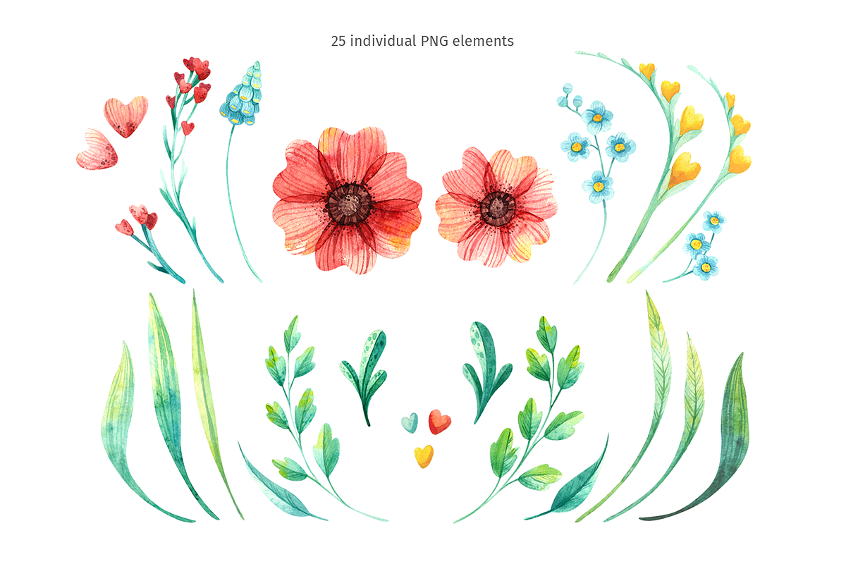 Spring flowers, watercolor clipart, an Illustration by Valin Malin (Photo 2 of 14)