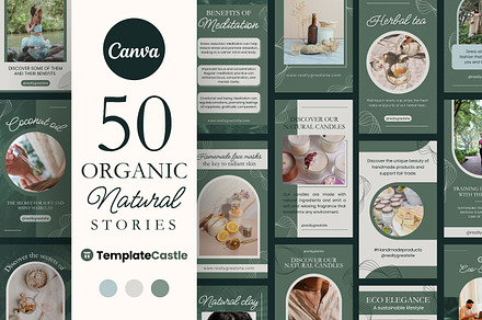 50 Organic Stories Canva Templates, a Templates & Theme by TemplateCastleStore