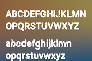 Garth, a Serif Font by Alt Foundry (Thumbnail 4 of 4)