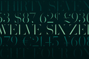 Volterra Family, a Serif Font by Blank Is The New Black (Thumbnail 3 of 11)